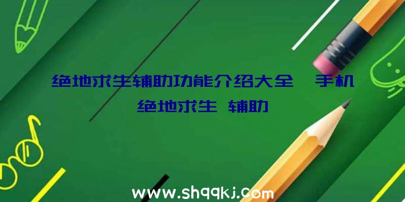 绝地求生辅助功能介绍大全、手机绝地求生